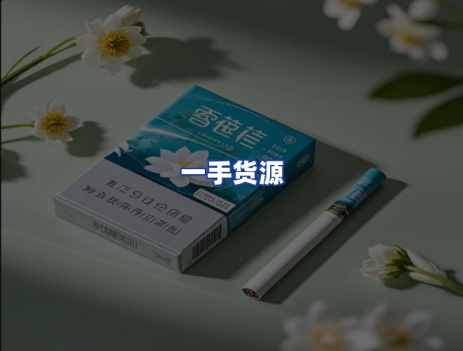 专业团队